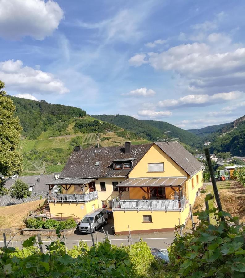 Die Ferienwohnung Lindenhof Zell an der Mosel Exteriör bild