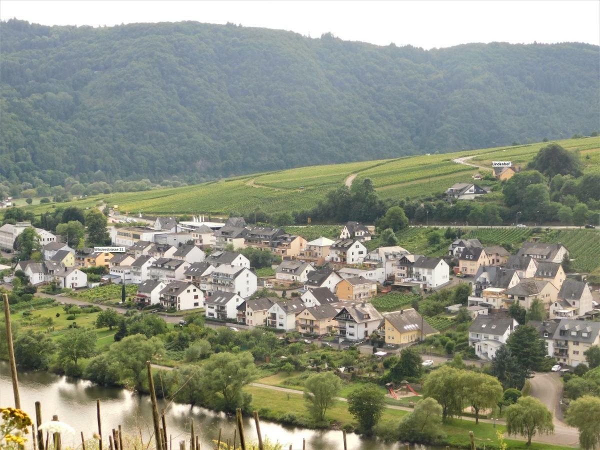 Die Ferienwohnung Lindenhof Zell an der Mosel Exteriör bild